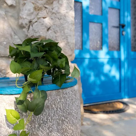 Stone House Livia *