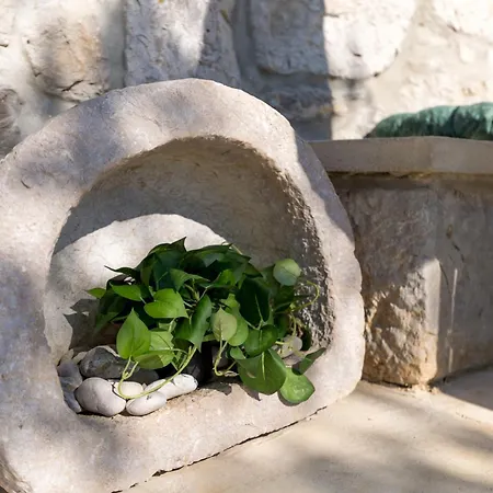 Stone House Livia Villa